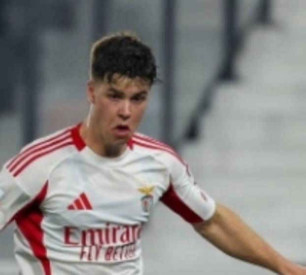 穆帅带队逆袭可期：本菲卡连胜不败，距榜首波尔图仅差7分，下轮大战成关键